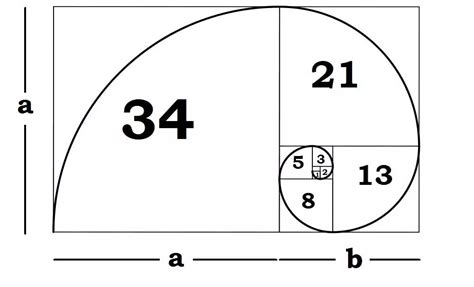 fibonacci sequence lottery|7.2: The Golden Ratio and Fibonacci Sequence.